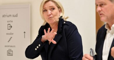 Procès du RN : Darmanin, Zemmour, Estrosi… Pourquoi des adversaires de Marine Le Pen s’opposent à une inéligibilité