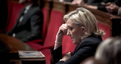 Procès du RN : Marine Le Pen estime qu’on réclame sa « mort politique »