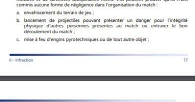 PSG - Atlético de Madrid : L’UEFA interdit-elle tous les tifos à caractère politique ?