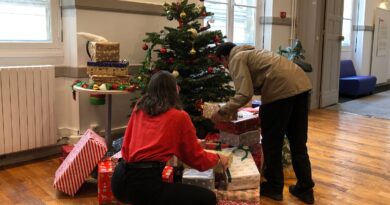 Quel est votre pire souvenir avec votre sapin de Noël ?