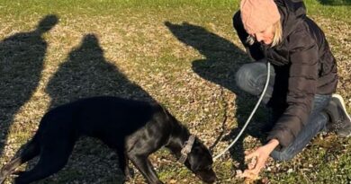 Roissy : « C’était magique »… L’émotion de Carine, qui a participé au sauvetage de la chienne Amalka