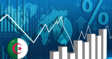 Secteur public VS secteur privé : l’enquête de l’ONS sur l’activité commerciale en Algérie