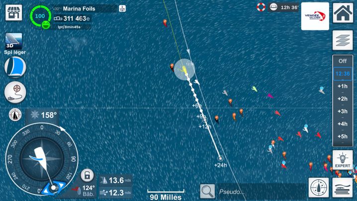 Marina Foils en pleine descente de l'atlantique sud sur Virtual Regatta