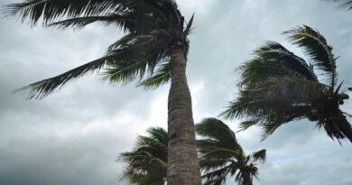 Vents violents, pluies, orages… Découvrez ce que vous réserve la météo en Algérie ce 18 novembre