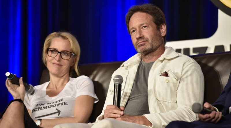 « X-Files » : David Duchovny admet qu’il y avait des tensions avec Gillian Anderson et fait son mea culpa