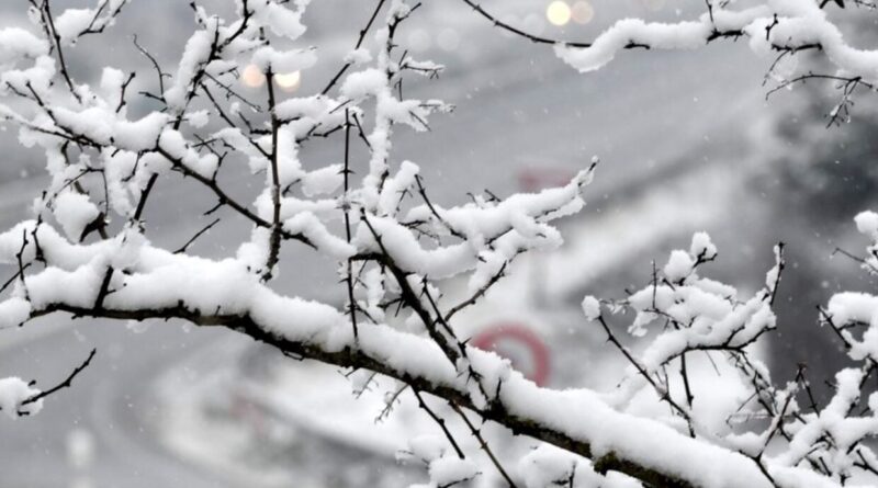 Alerte météo en Algérie : chutes de neige attendues dans plusieurs régions ce mardi 24 décembre