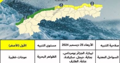 Alger : Des vagues géantes emportent des voitures et inondent la route (VIDÉO)