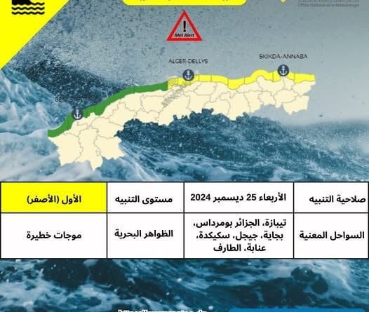 Alger : Des vagues géantes emportent des voitures et inondent la route (VIDÉO)