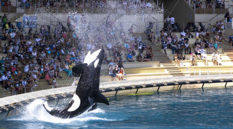 Antibes : Le parc Marineland évoque une « fermeture définitive » le 5 janvier prochain