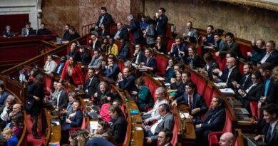 Budget 2025 : L’Assemblée nationale adopte la « loi spéciale », LFI s’abstient