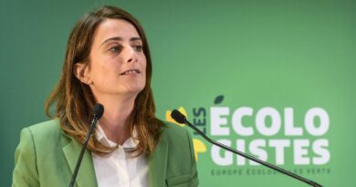 Chute du gouvernement : Rendez-vous à l’Elysée lundi pour les Ecologistes, contrairement aux Insoumis