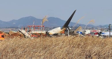 Corée du Sud : « Cœur brisé », « grande émotion »… Condoléances du monde entier après le crash meurtrier