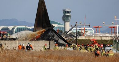 Crash d’un avion en Corée du Sud : Au moins 120 morts et une collision avec des oiseaux suspectée