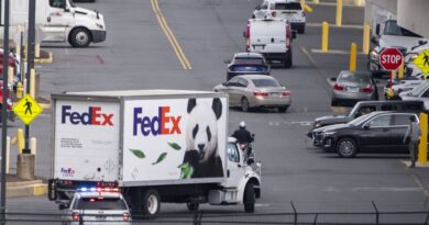 Des colis de Noël abandonnés au bord d’une route… Le livreur FedEx pressé a été interpellé