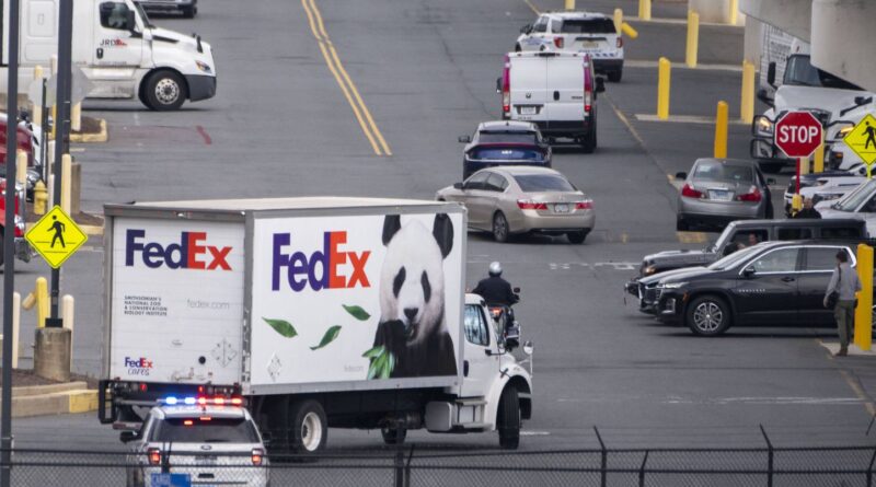 Des colis de Noël abandonnés au bord d’une route… Le livreur FedEx pressé a été interpellé