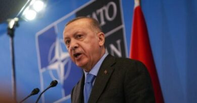 Erdogan déclare que la Turquie soutiendrait le nouveau gouvernement syrien dans tous les domaines