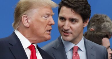 Etats-Unis : Donald Trump veut-il vraiment que le Canada devienne le 51e Etat du pays ?