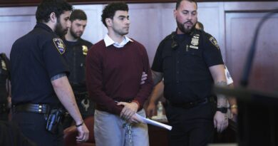 Etats-Unis : Face au tribunal à New York, Luigi Mangione plaide non coupable de meurtre « terroriste »