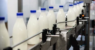 Filière lait : Une dépendance excessive aux importations met en péril la production locale