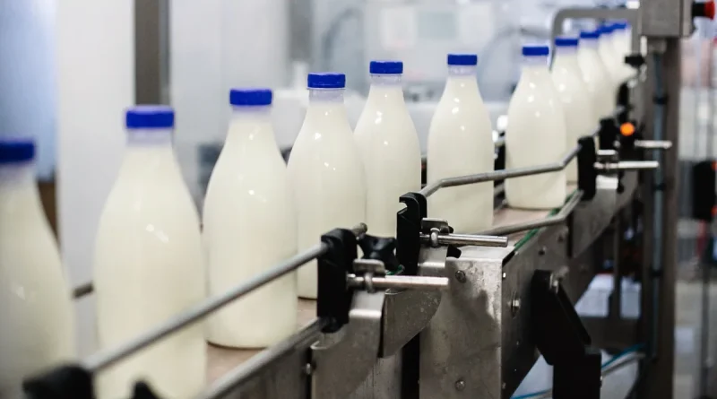 Filière lait : Une dépendance excessive aux importations met en péril la production locale