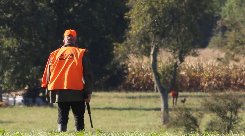 Gard : Un chasseur en urgence absolue après s’être tiré une balle dans le dos