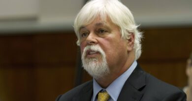 Groenland : Paul Watson va être libéré ce mardi