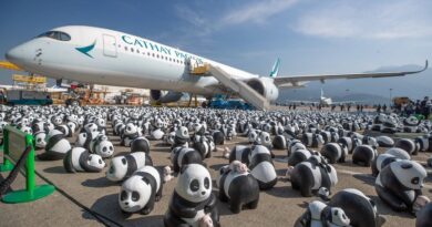 Hong Kong va exposer 2.500 sculptures de pandas dans ses rues pour booster l’économie locale