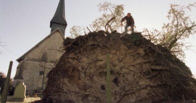 Il y a 25 ans, c’était la tempête du siècle… Retour en chiffres sur l’événement