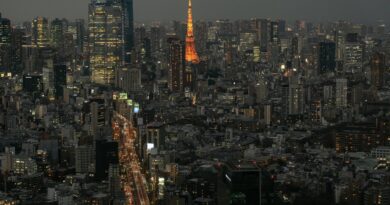 Japon : Tokyo va rendre les crèches gratuites pour encourager la natalité