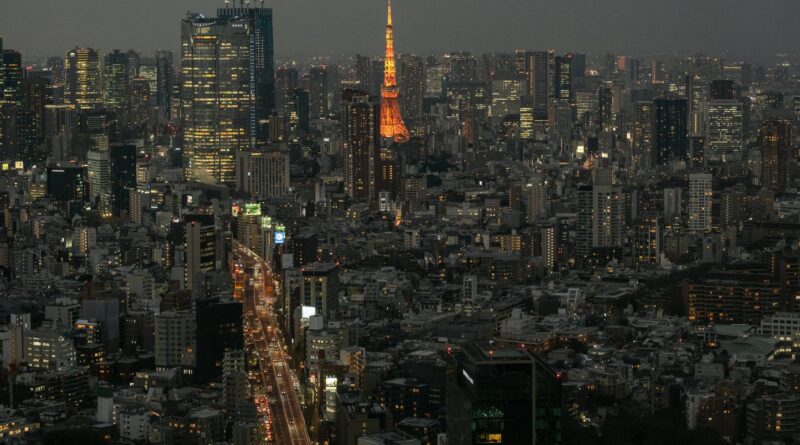 Japon : Tokyo va rendre les crèches gratuites pour encourager la natalité