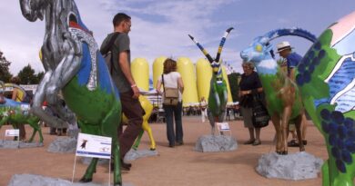 La commune grisonne d'Ilanz/Glion vend ses bouquetins de l'Expo.02 pour renflouer ses caisses