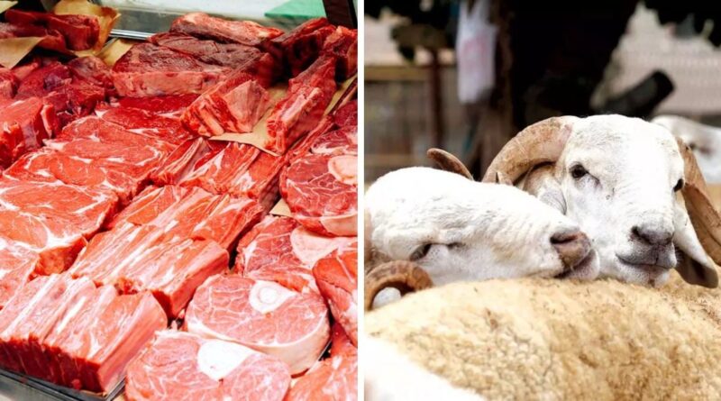 La viande rouge à 2500 DA/kg pour le Ramadan : La baisse des prix du bétail se confirme