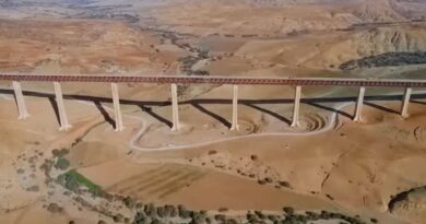 L’Algérie se dote de l’un des plus hauts ponts ferroviaires du monde (VIDÉO)