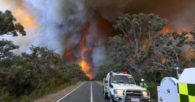 L’Australie suffoque sous une chaleur extrême et un important incendie dans le Sud-Est