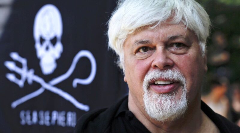 Libéré de sa prison danoise, Paul Watson est-il pour autant sorti d’affaire ?