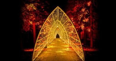 Lumières en Seine : Le domaine national de Saint-Cloud s’illumine encore pour Noël