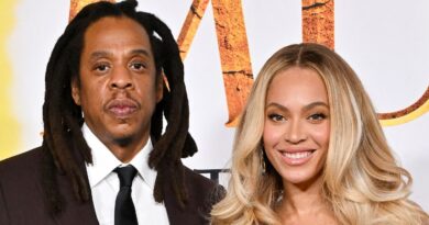 LVMH : Pourquoi le whisky Beyoncé et le champagne Jay-Z commencent à embarrasser Moët Hennessy