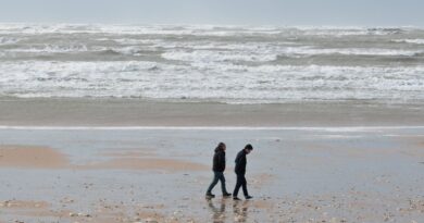 Météo : Trois départements dans l’Ouest en vigilance orange aux vents violents