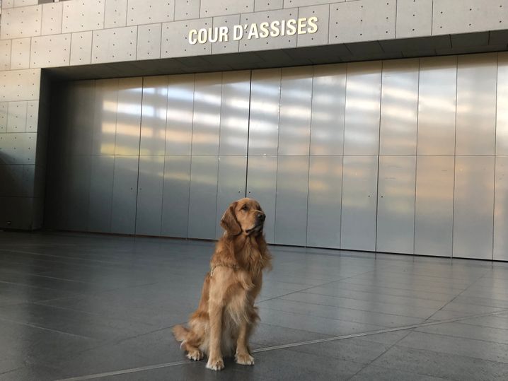 Depuis un an, Tandem intervient régulièrement au palais de justice de Grenoble pour assister les victimes lors de procès.