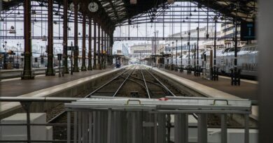 Paris : « Des coups de poing à une femme seule »… Une conductrice de la SNCF agressée à gare de Lyon