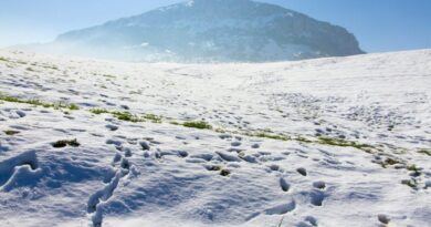 Prévisions météo du samedi 14 décembre : froid, pluie, neige… Quel temps fera-t-il aujourd’hui ?