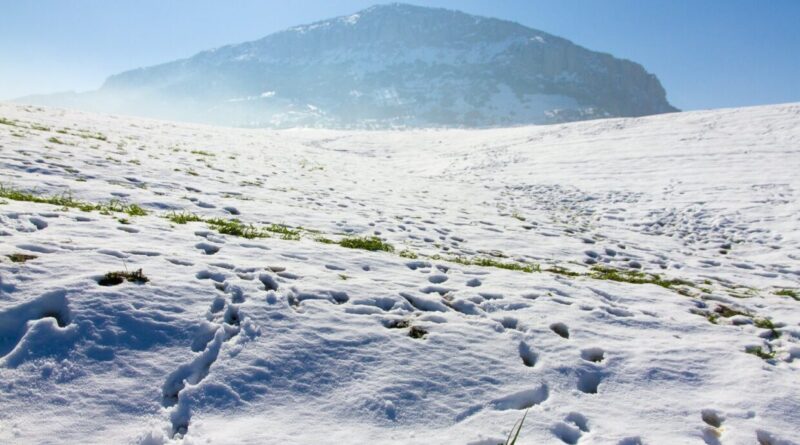 Prévisions météo du samedi 14 décembre : froid, pluie, neige… Quel temps fera-t-il aujourd’hui ?