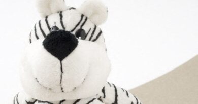 Reims : Un tigre crée l’émoi dans une rue… c’était une grosse peluche