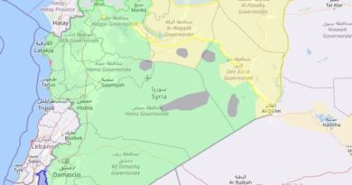 Syrie : Décimé territorialement, réduit matériellement… Quelle menace représente l’Etat islamique dans le pays ?