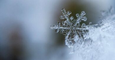 Temps et températures du jeudi 12 décembre : le froid persiste, voici la météo du jour !