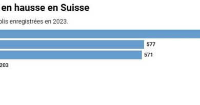 Toujours plus de colis sont volés en Suisse romande 