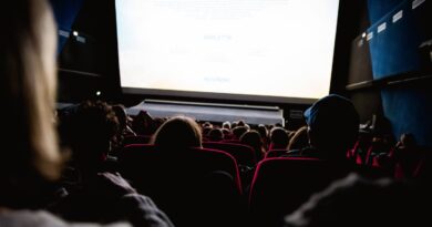 Une « exception mondiale »… La fréquentation des cinémas en hausse en France en 2024