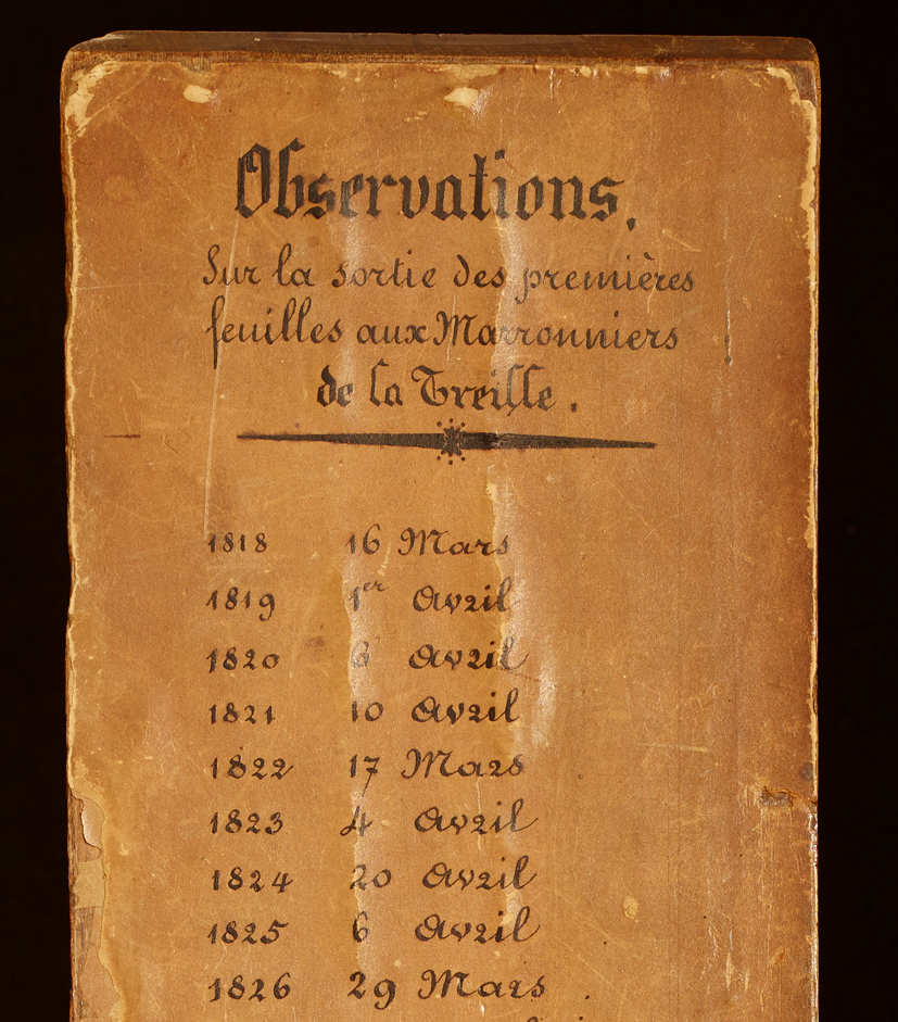 Le parchemin sur lequel les sautiers genevois notent depuis plus de 200 ans la date d’éclosion de la première feuille du marronnier officiel.