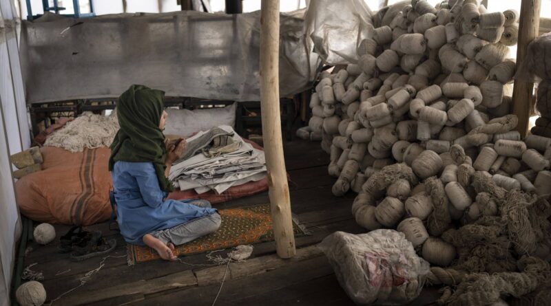 Afghanistan : Les Talibans enferment les femmes derrière des murs et multiplient les interdits