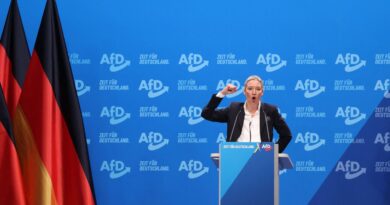 Allemagne : L'extrême droite proche du pouvoir en Autriche, une aubaine pour l'AfD